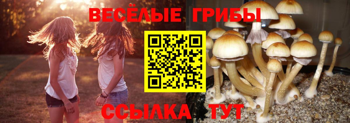 Меф МЯУ МЯУ кристаллы  Вход с VPN  Альфа ПВП СОЛЬ   Магазин наркотиков  Гашиш  Новоуральск  Cocaine  Бошки Шишки 