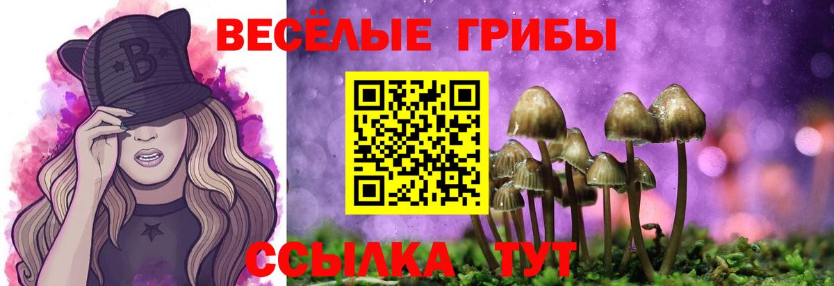 Новоуральск  Псилоцибиновые грибы Psilocybe  Вход с VPN  где купить наркоту  Псилоцибиновые грибы мицелий 